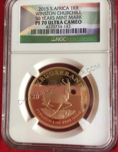 Krugerrand in protective case