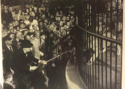 Original Press Photograph: Winston Churchill Feeding Rota, the Lion, 10 Sept 1947