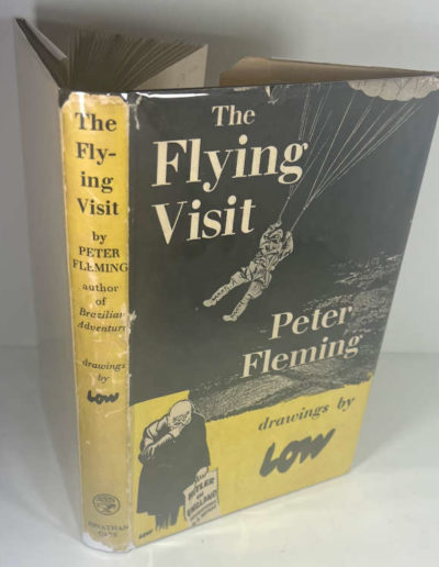 The Flying Visit, Drawings by LOW